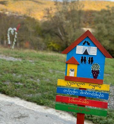Vedzebi House | panorama tianeti