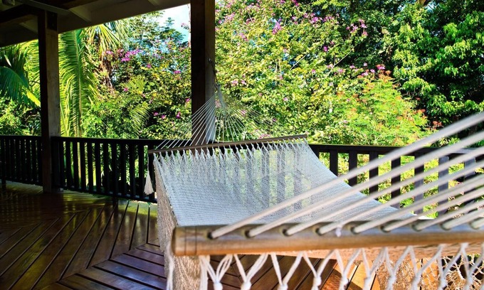 Punta Gorda Resort | Panoramic Jungle View Suite w/Private Veranda, Infinity Pool, & WiFi