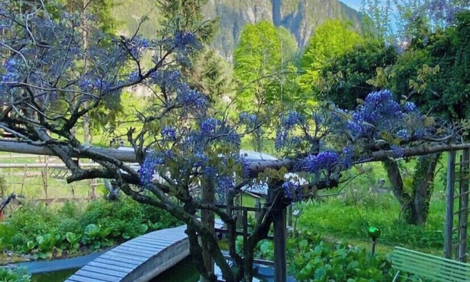 Canal San Bovo Apartment | Paola's Country House - Vanoi Primiero Dolomiti Trentino