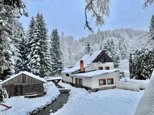 Stare Mesto Ski Chalet | Paprsek - Chalupa V Medvědí rokli - Bärengraben