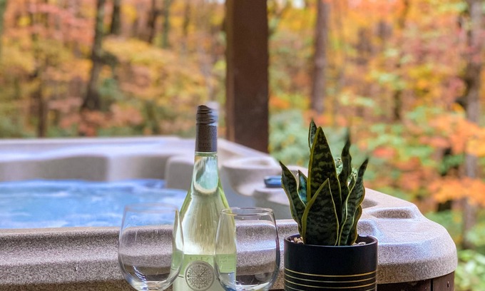 Blue Ridge Cabin | Paradise Escape: Minutes from Blue Ridge, Hot-Tub, 100+ 5-star Reviews!
