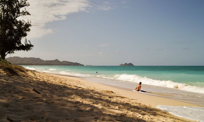 Waimanalo Apartment | Paradise Found Waimanalo - Quiet & Private Beachside Suite with Air Conditioning