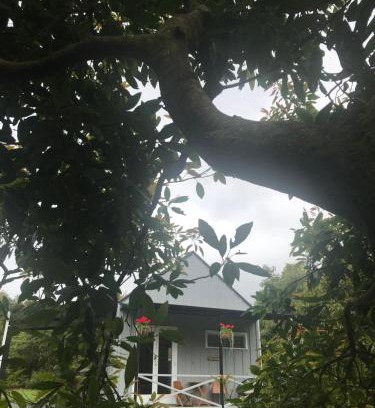 Onemana Ski Chalet | Paradise Grove