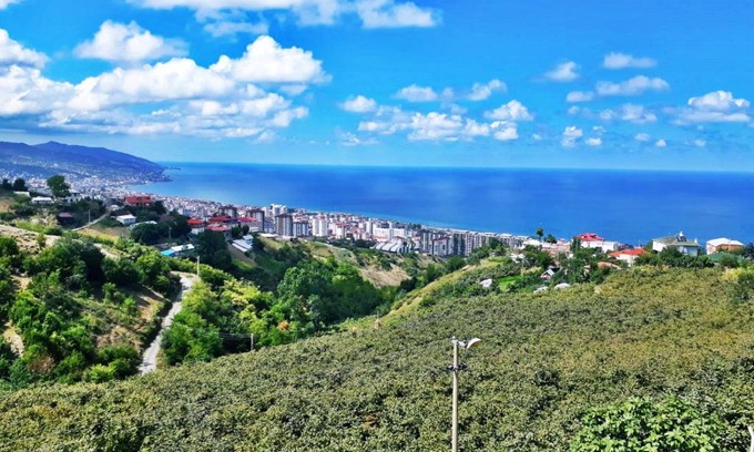 Akcaabat Villa | Paradise Villa Trabzon