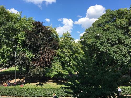 Aachen Apartment | Park Apartaments