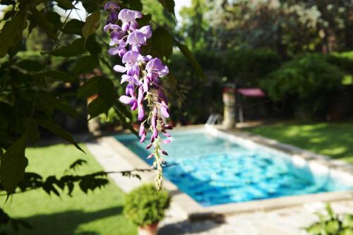 Oltrarno Hotel | Park Palace Hotel