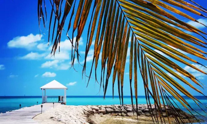 Palm Cay House | Parrot Villa
