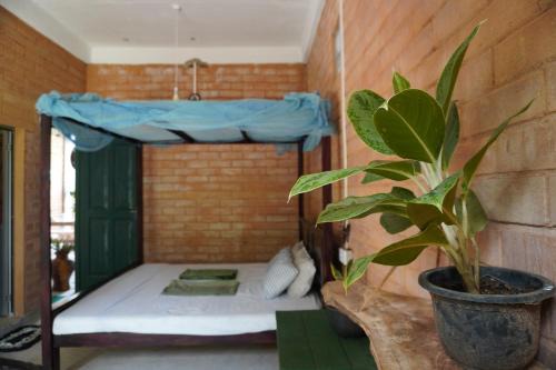 Polhena Apartment | PASSIONFRUIT HOMESTAY