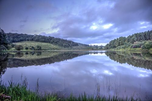 Magoebaskloof Hotel | Pavetta Country House