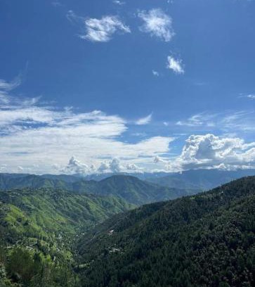Chail House | Peace holiday homestay