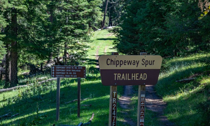 Cloudcroft Cabin | "Peace & Quiet", Nature's Retreat, 50 yds from Trailhead, Wildlife Galore