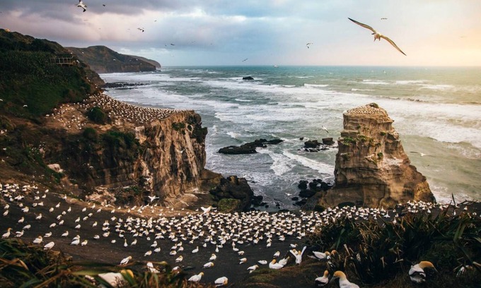 Muriwai Cottage | Peaceful cedar Cottage - 3 minutes to Muriwai Beach