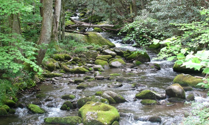 Rocky Grove Cabin | Peaceful Creekside Cabin near Gatlinburg/Pigeon Forge - PRICE MATCH RATES