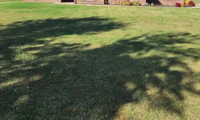 Verdigris House | Peaceful living 3 bed 2 bath on 3 acres
