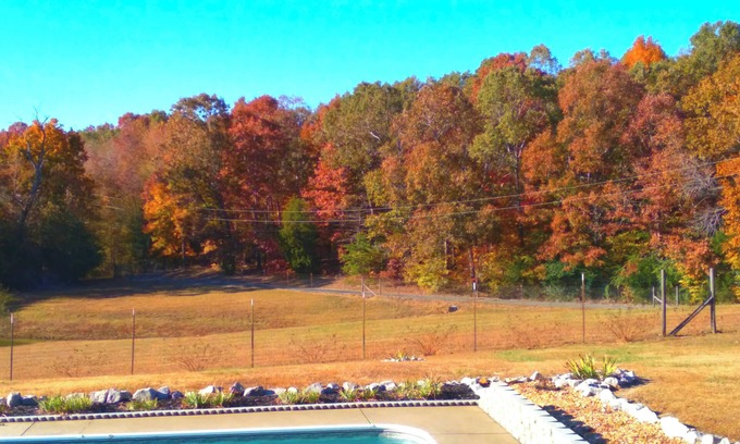 Florence Other | Peaceful Pastures - Secluded Couple's Retreat