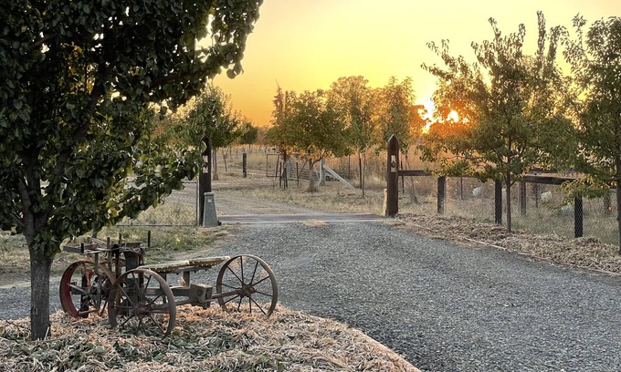 Benalla House | Peaceful & Picturesque Farm Stay Only 5 Mins Drive From Benalla Township