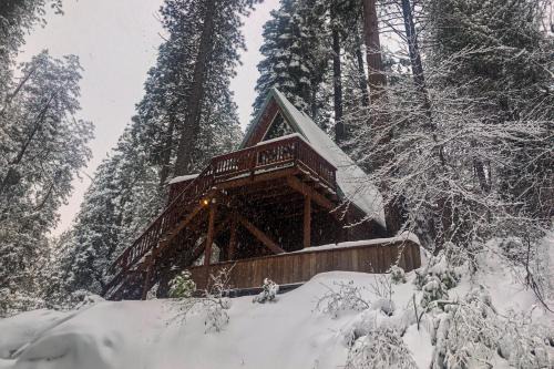 Arnold House | Peaceful Pine Getaway