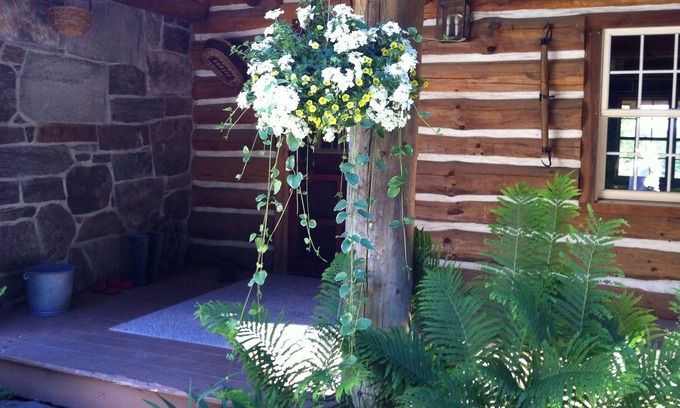Clarendon Cabin | Peaceful Retreat surrounded by things to explore
