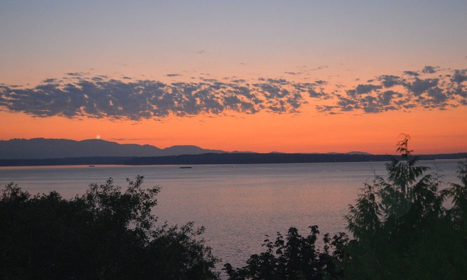 Rollingbay Apartment | Peaceful Seattle Luxury Estate Romantic Seaview Guesthouse