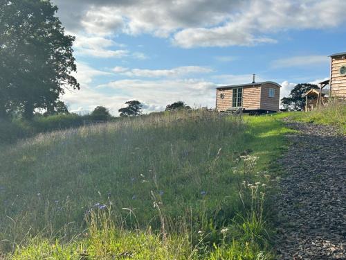 Chittlehampton House | Peaceful shepherds hut with hammock
