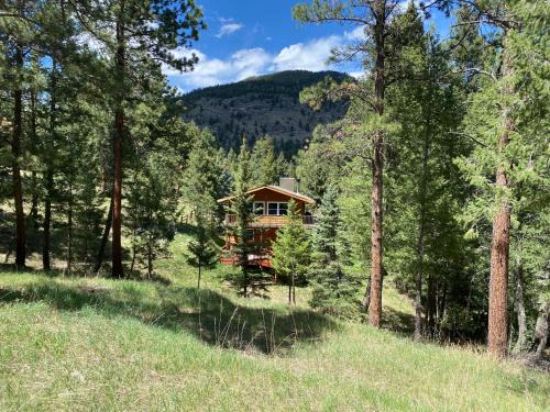 Evergreen House | Peaceful