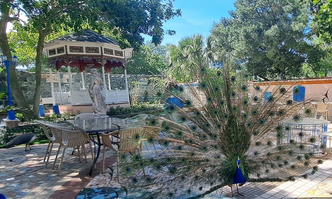 Fort Pierce House | Peacock Estate: botanical gardens, art galleries, 1min to downtown, 5 to beach