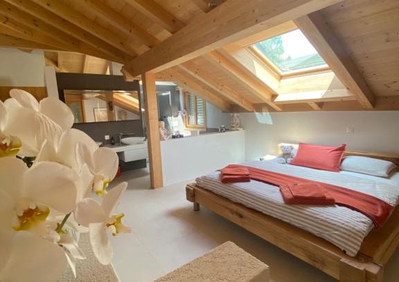 Zweisimmen Apartment | Pegasus