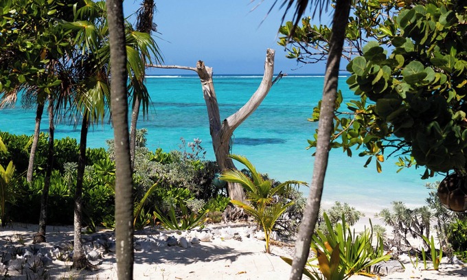 Whitby Hotel | Pelican Beach Hotel