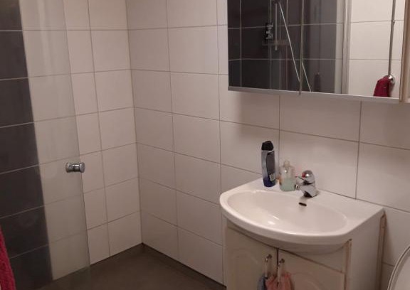 Aanekoski Apartment | peltokatu 33 rivitalokolmio