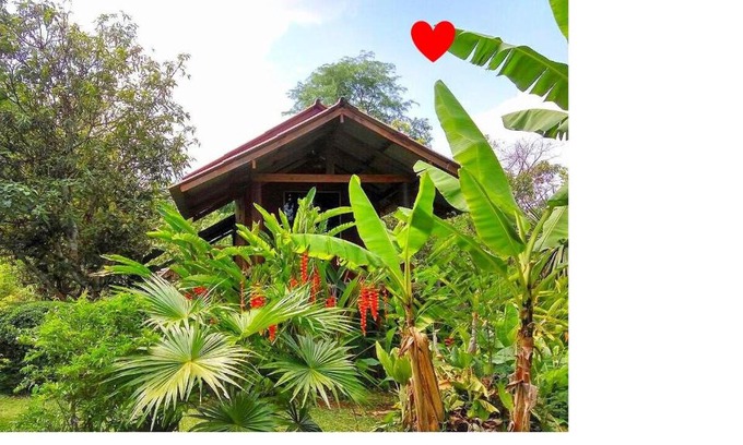 Pangmapha Ski Chalet | Pencave Homestay