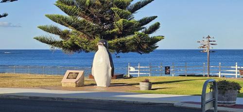 Penguin House | Penguin Retreat