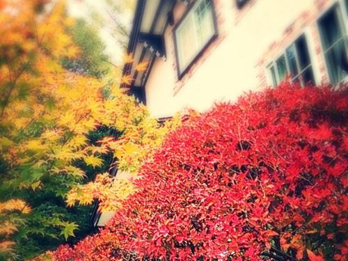 Karuizawa House | Pension Candytuft