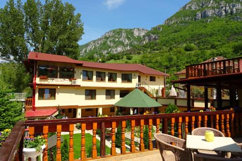 Baile Herculane House | Pension Cuibul Viselor