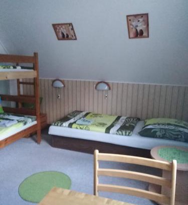 Mikulov v Krusnych Horach House | Pension Mikulka