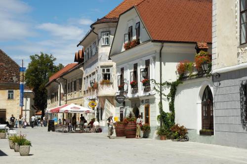 Radovljica House | Pension Lectar