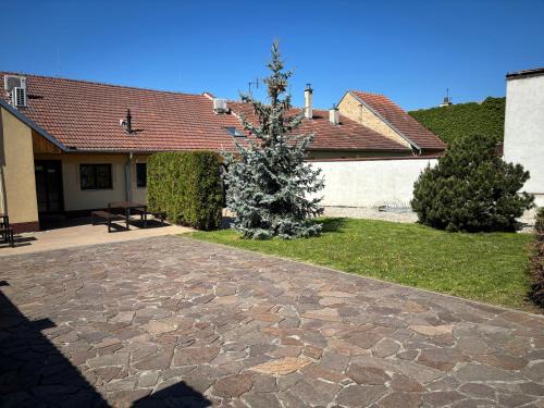 Valtice House | Pension Max Valtice