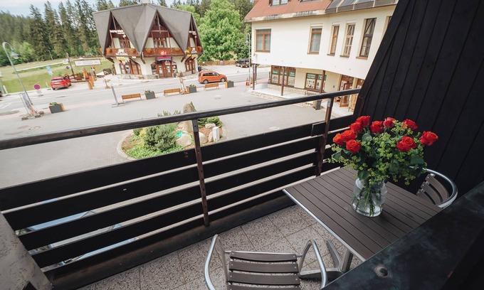 Harrachov House | Pension Mona