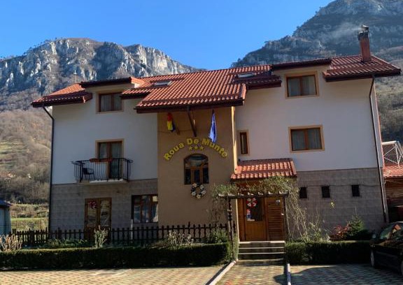 Baile Herculane House | Pension RouaDeMunte