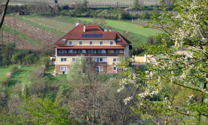 Pulkau House | Pension Rudi - Weingut Kellner