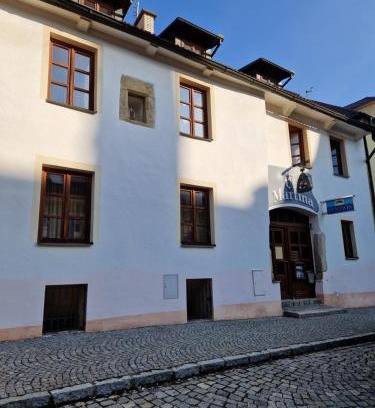 Domazlice House | Pension U Martina