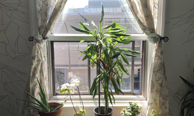 Mile End House | Pensione Popolo