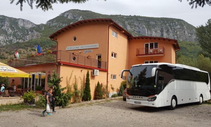 Baile Herculane House | Pensiune Safrane