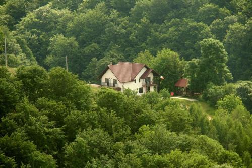 Poiana Marului House | Pensiunea 7 Brazi