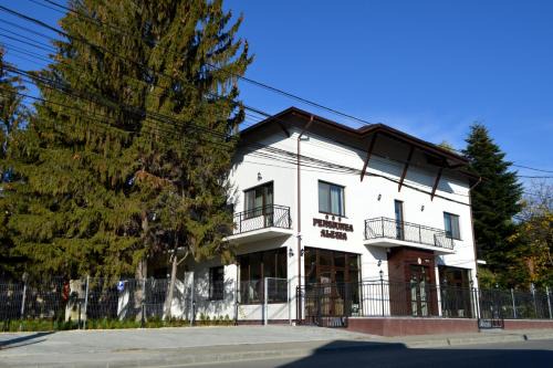 Pucioasa House | Pensiunea Alesia