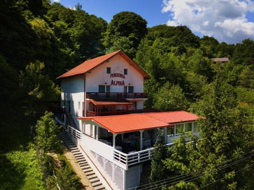 Malaia House | Pensiunea Alpina