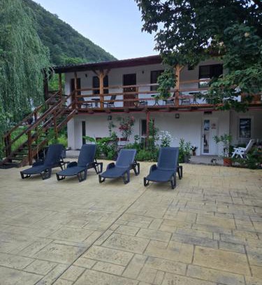 Baile Herculane House | Pensiunea Armonia