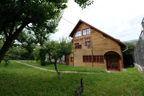 Vatra Dornei House | Pensiunea Flori de Camp
