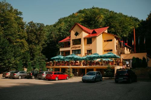 Baia Mare House | Pensiunea Magura