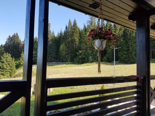 Vatra Moldovitei House | Pensiunea Maria-Bucovina