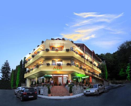 Baile Olanesti House | Pensiunea Noel